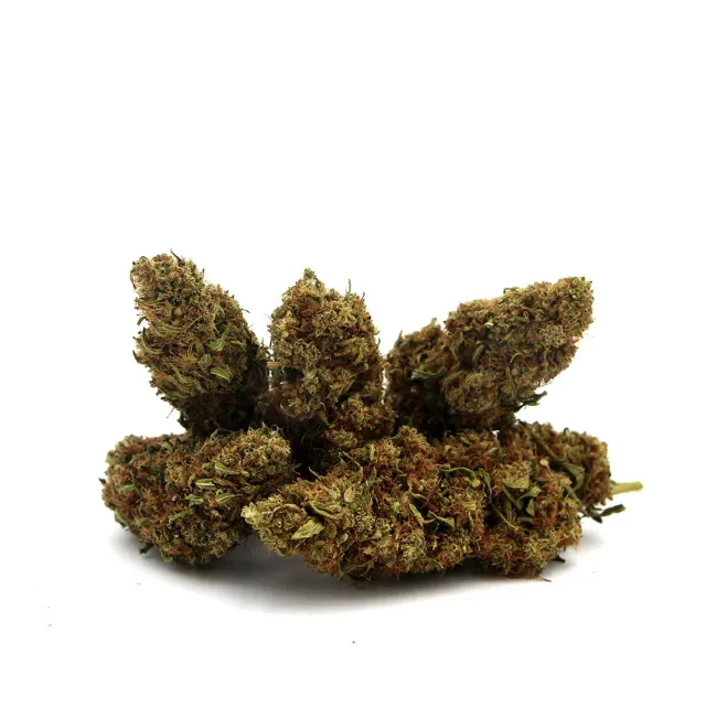 LeGrossiste Lemon CBD-blomst 2 gram outdoor sitron