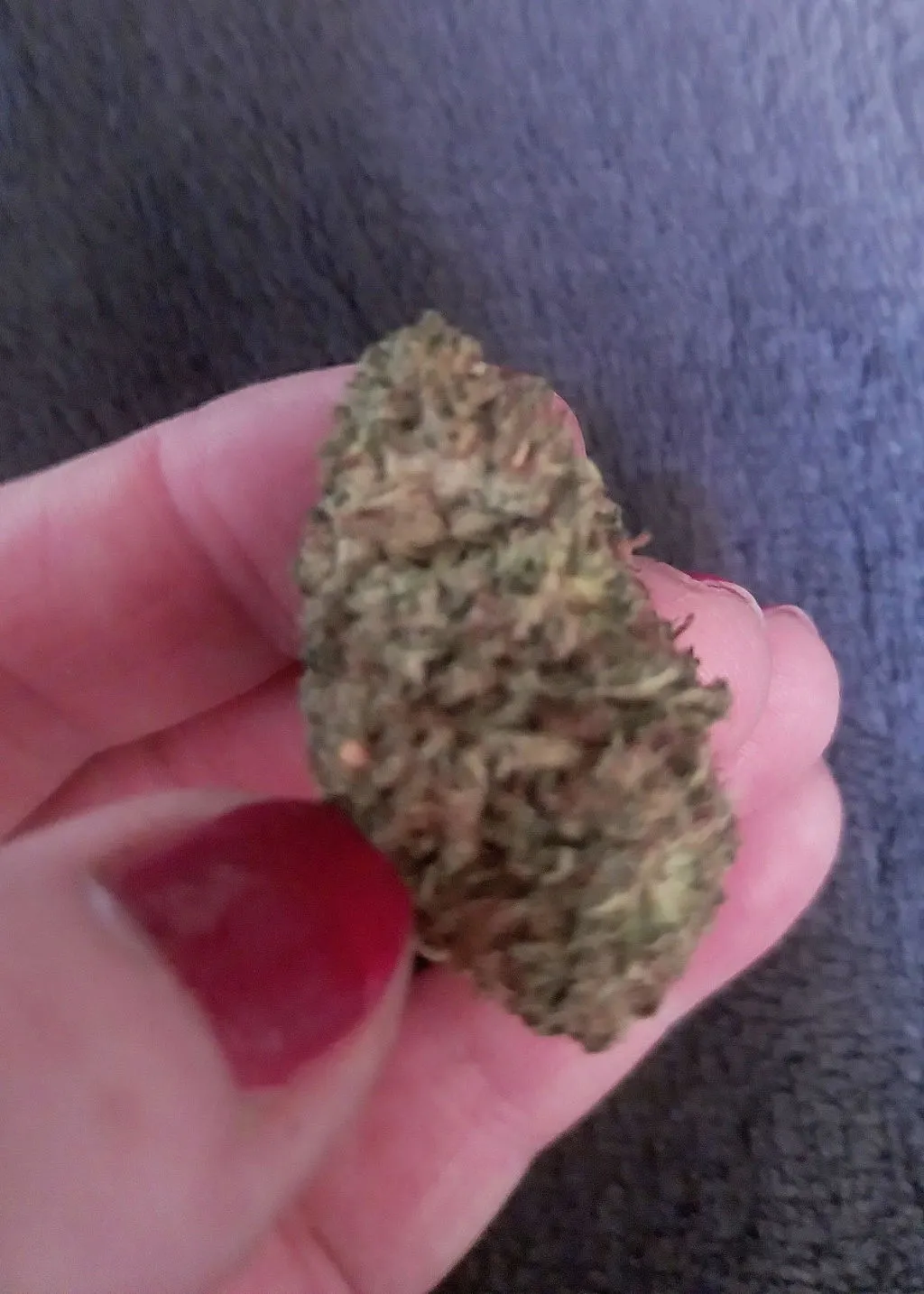 Canapuff High Monster Ultra Edition indica blomst 1g