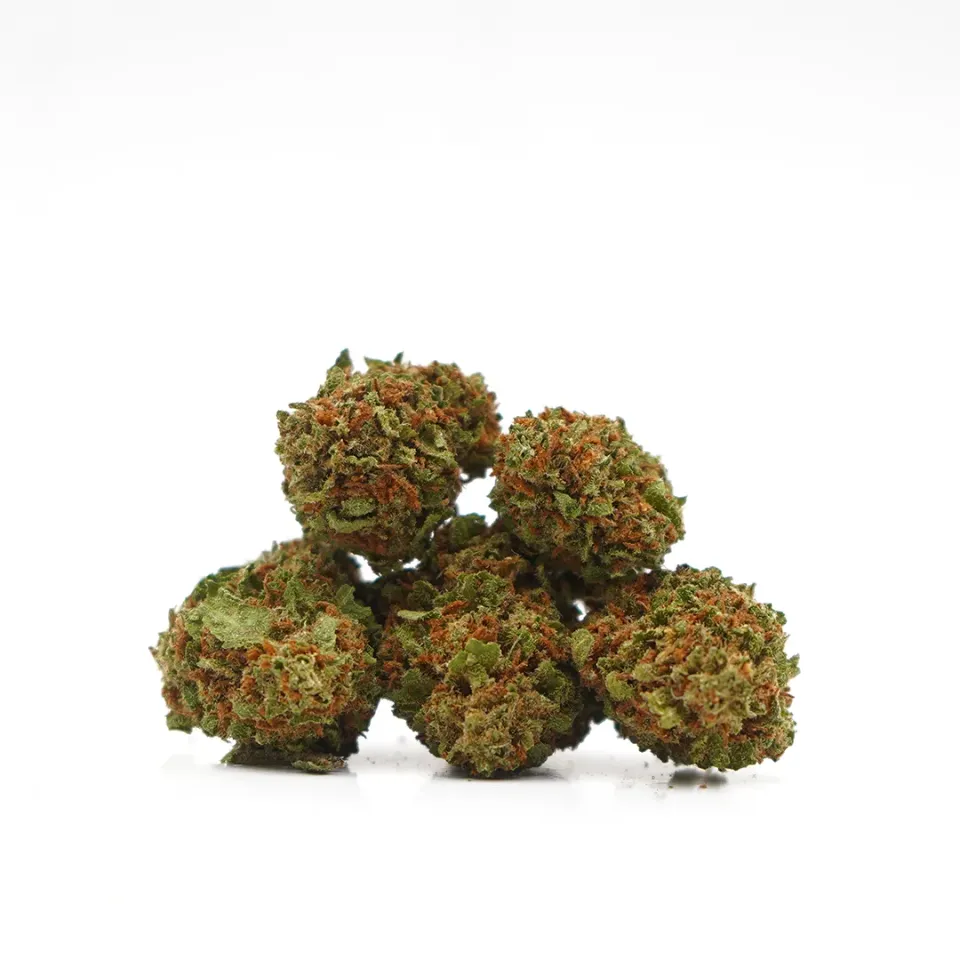 LeGrossiste Blueberry CBD-blomst 25 g drivhus