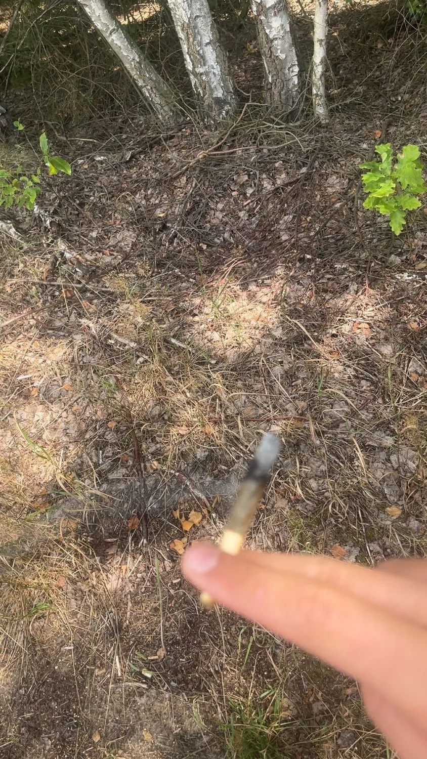 CanaPuff Gorilla Kush T8HC-joint 99% 2g 1 stk