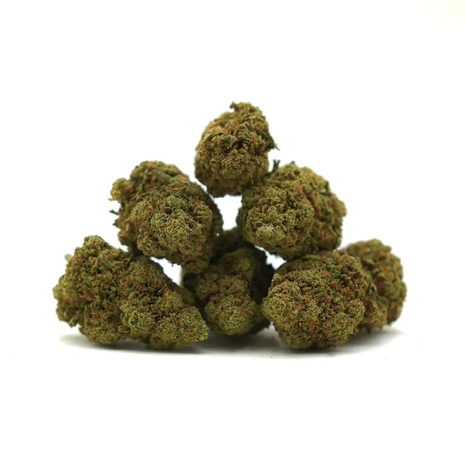 LeGrossiste Amnesia greenhouse CBD-blomst 25g blåbær