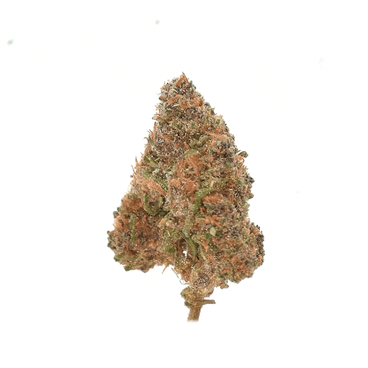 LeGrossiste Sour Diesel CBD-blomster 25g drivhus