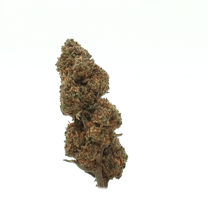 LeGrossiste Strawberry CBD-blomst 25 gram indoor