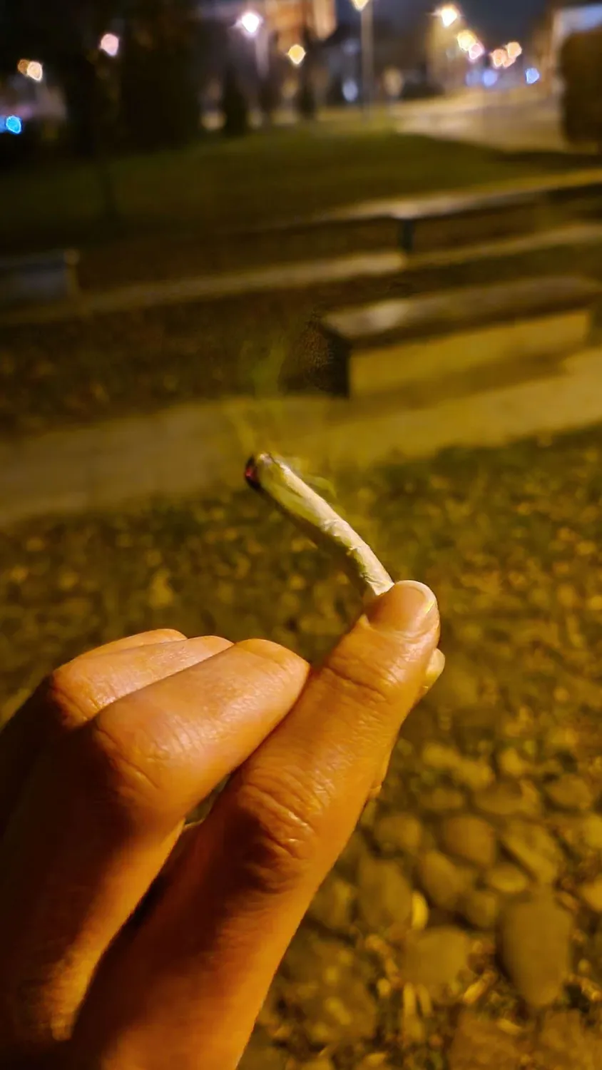 Canapuff CBG9 Blueberry Cookies joint 60% 2 g – blåbær