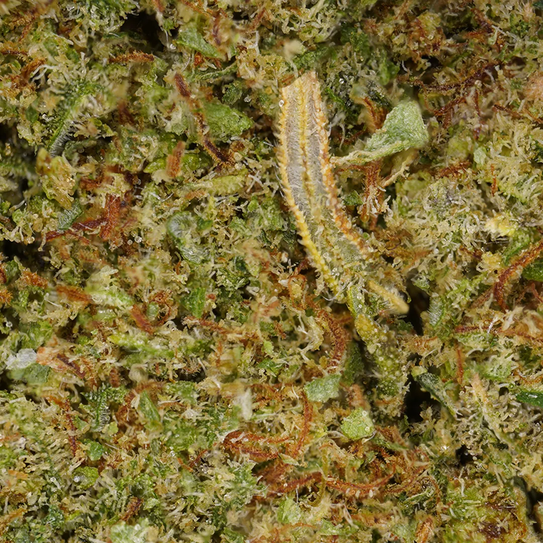 LeGrossiste Mandarine CBD-blomst 25g sitrus