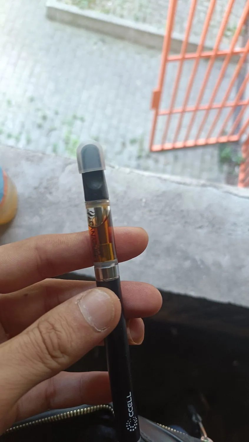 Canapuff 9H-HHC Super Lemon Haze vapepenn 95%