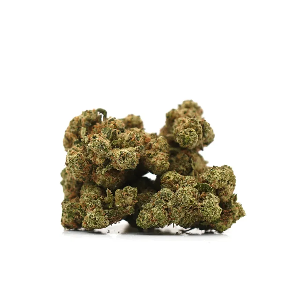 LeGrossiste Plutonium CBD-blomst 25 gram hydro treaktig