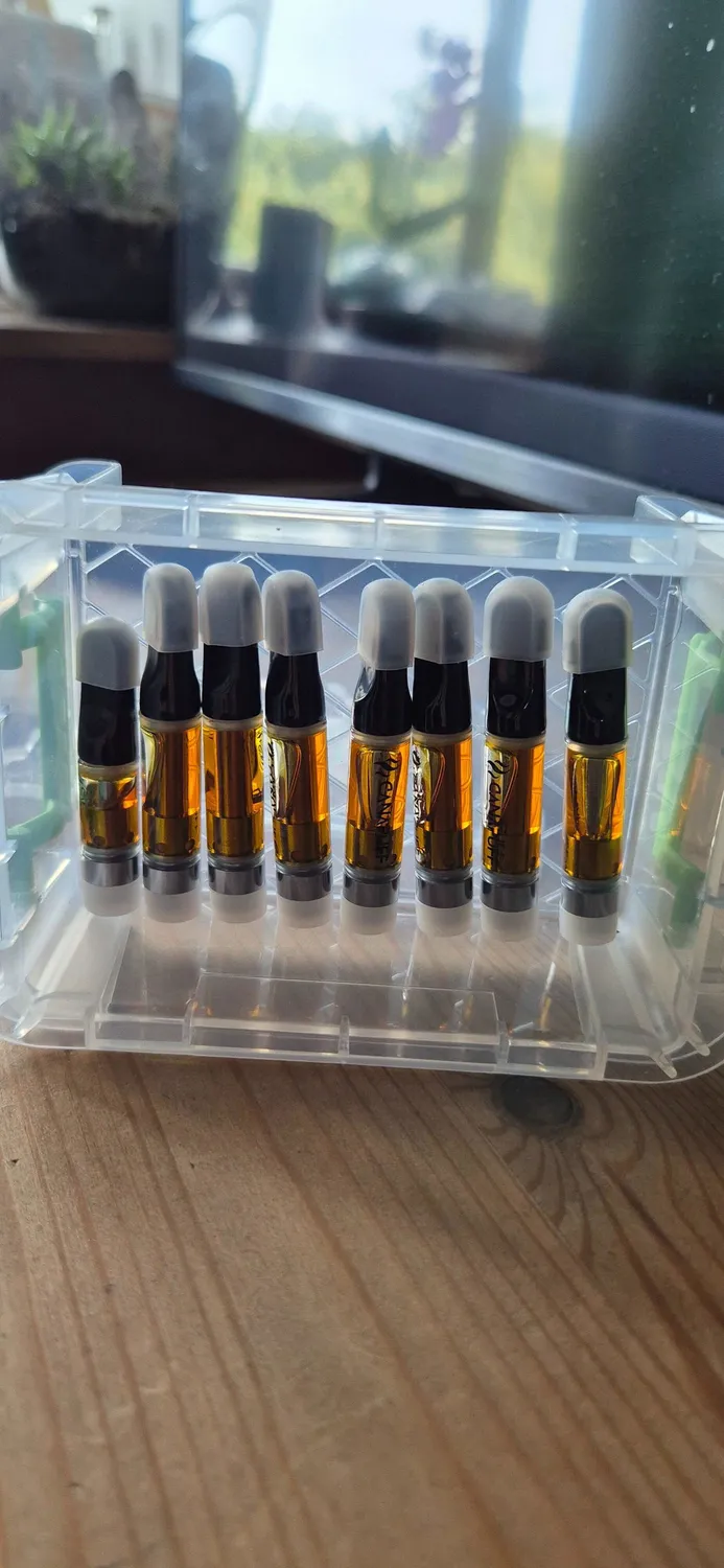 Canapuff CBD OG Kush 95% vape penn sitrus furu