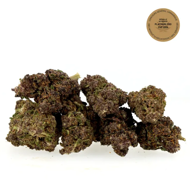 LeGrossiste Black Diamond cbd-blomst 25g drivhus