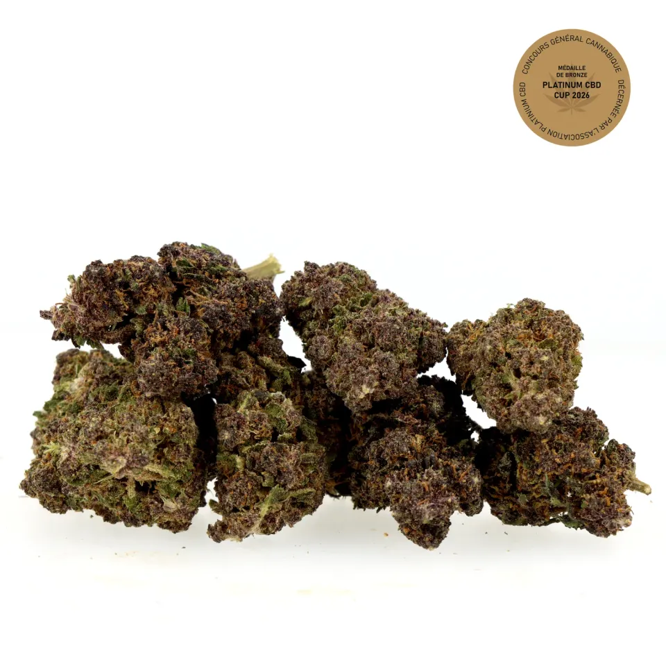 LeGrossiste Black Diamond cbd-blomst 25g drivhus