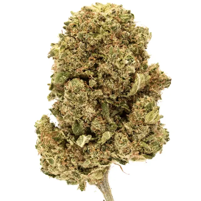 Hemeka Apple Fritter CBD-blomst 1 g søt eplesmak