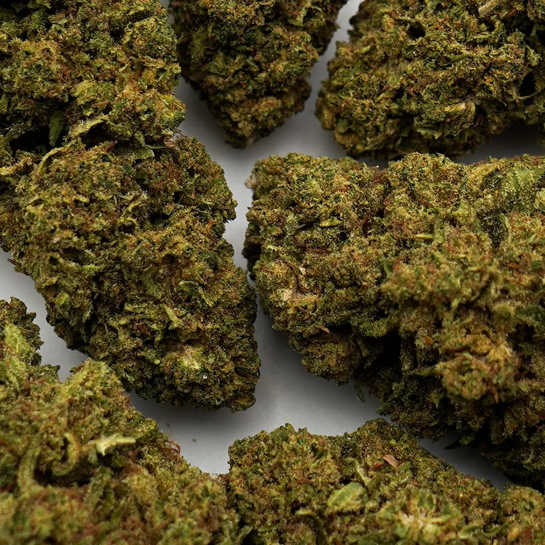 LeGrossiste Hawaiian CBD-blomst 25 g fruktig