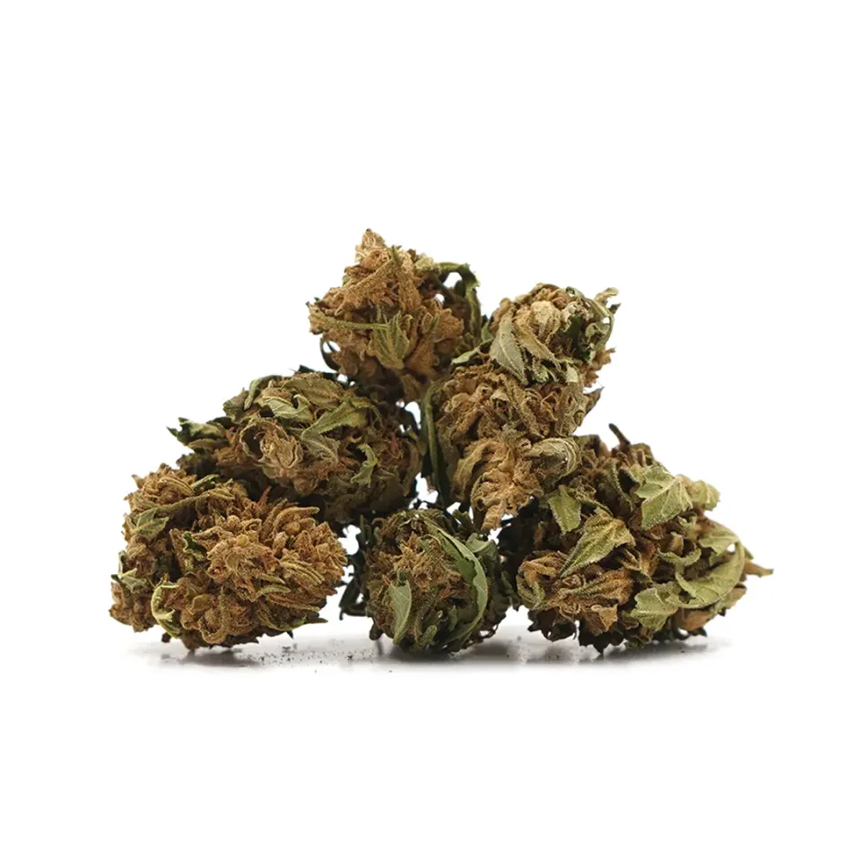 LeGrossiste Banana CBG småbuds 25 gram drivhus