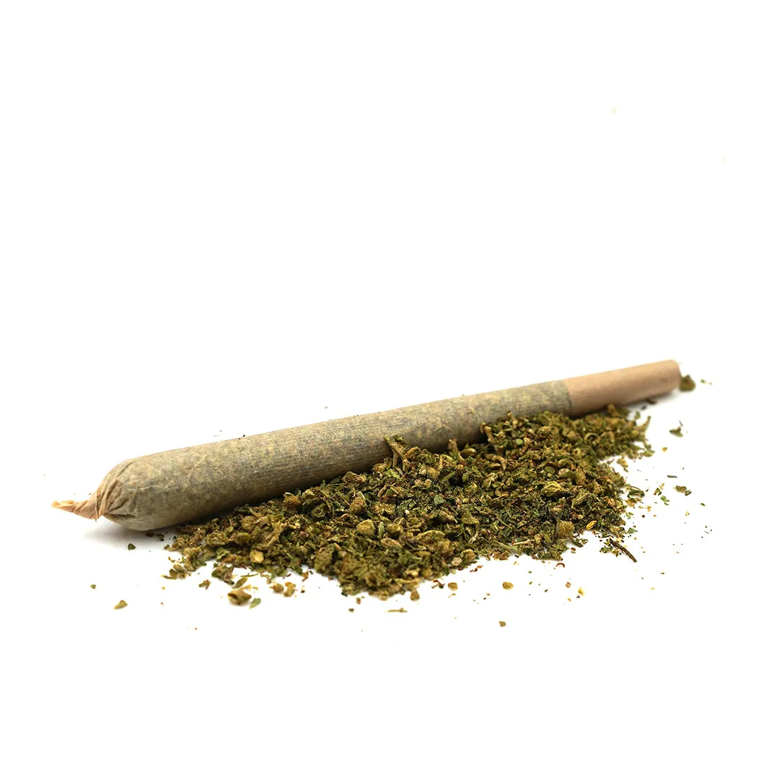 LeGrossiste Critical CBD pre-rolls 1 g – 10 stk tobakkfri