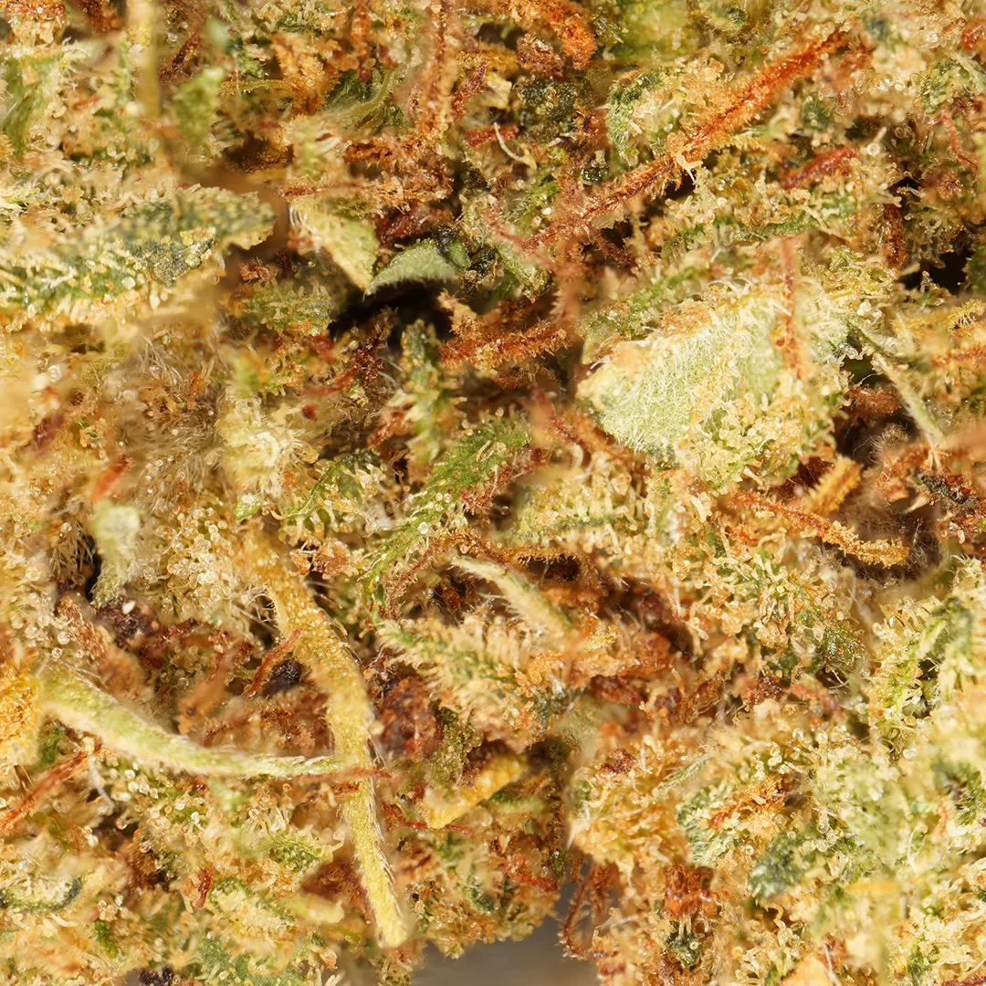 LeGrossiste Strawberry småbuds blomst 25g bær