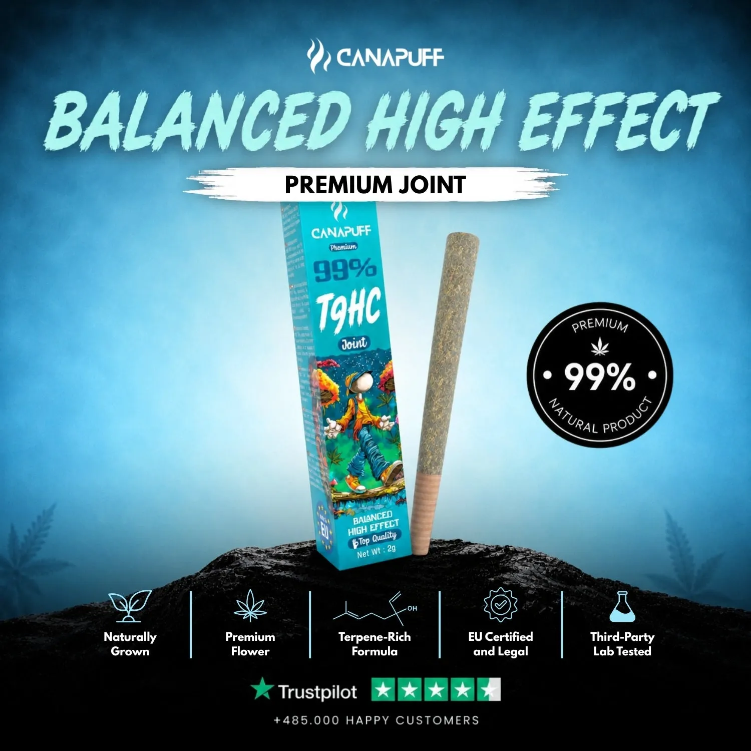 CANAPUFF Balanced T9HC joint 1 stk frukt