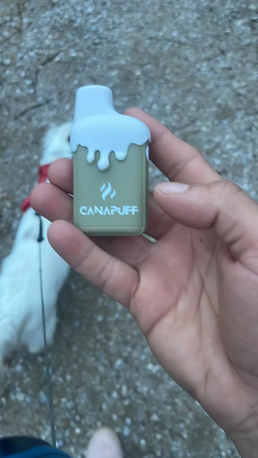 Canapuff 9H-THC XXL vape Candy Cane Kush 2ml mynte