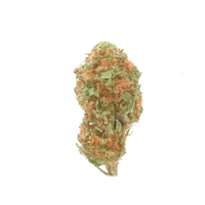 LeGrossiste Blueberry CBD-blomst 25 g drivhus