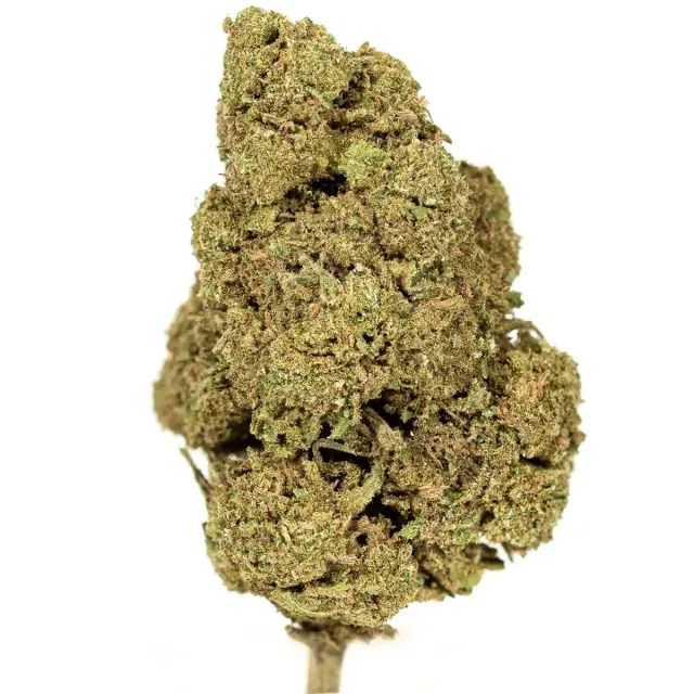 Hemeka Amnesia Lemon CBD-blomst 1 g sitrus indoor