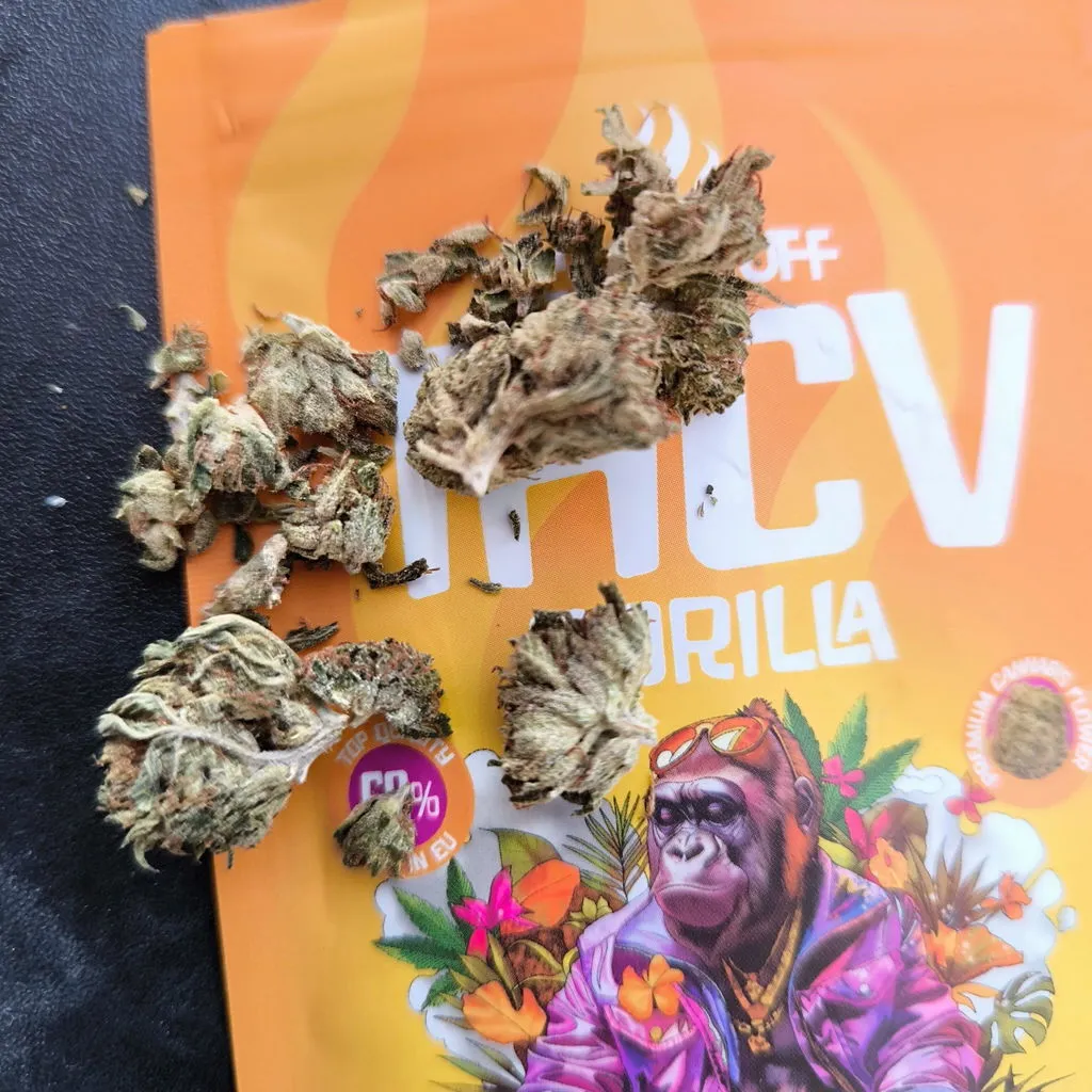 Canapuff Gorilla 69% thcv-blomster 1 g fruktig