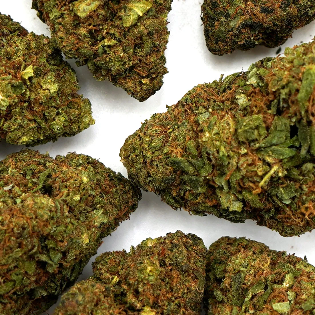 LeGrossiste Super Silver Haze CBD-blomst 2g indoor