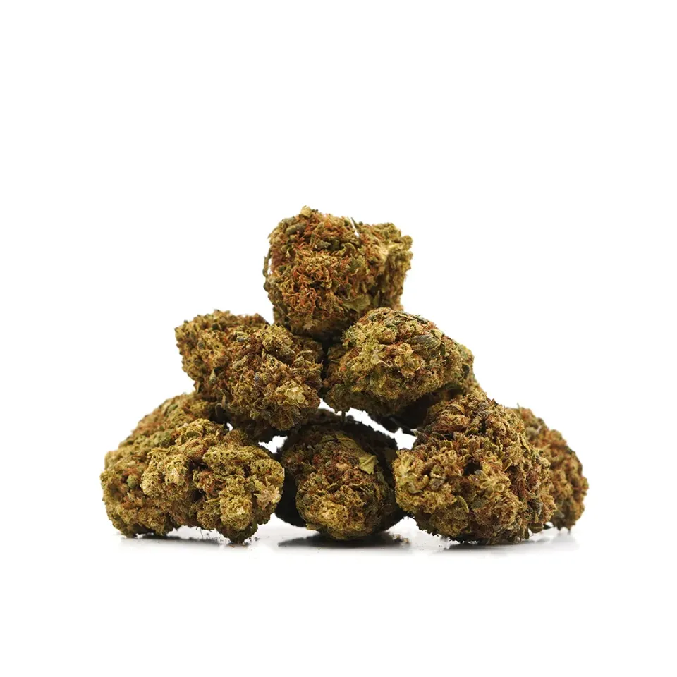 LeGrossiste Lemon Haze CBD-blomster 25 g drivhus sitron