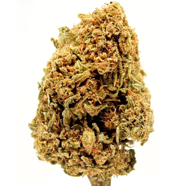 Hemeka Gelato CBD-blomst 2g vanilje