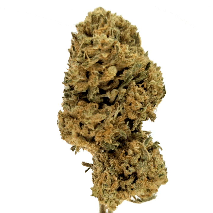 LeGrossiste Pineapple Express CBD-blomst 50g ananas