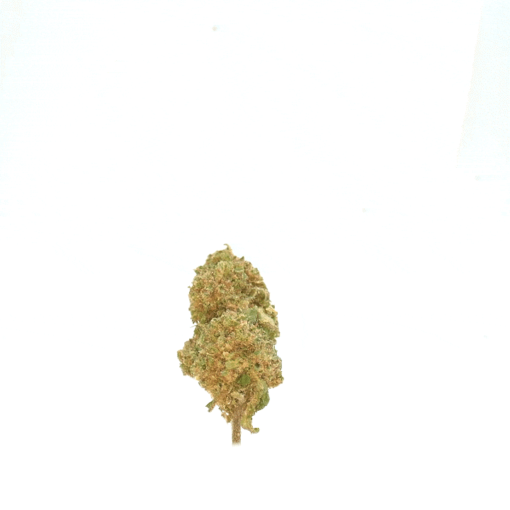 LeGrossiste Cannatonic blomst 25 g greenhouse bær