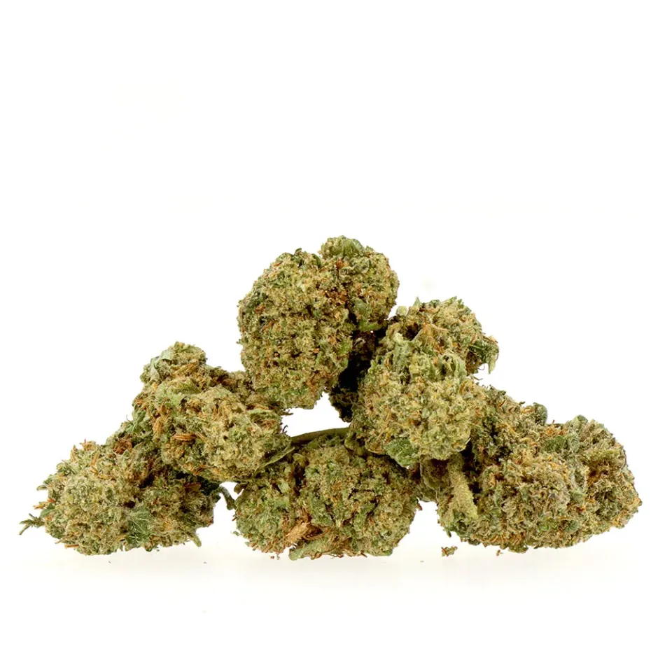 LeGrossiste Amnesia Hydro CBD-blomster 25 g små buds