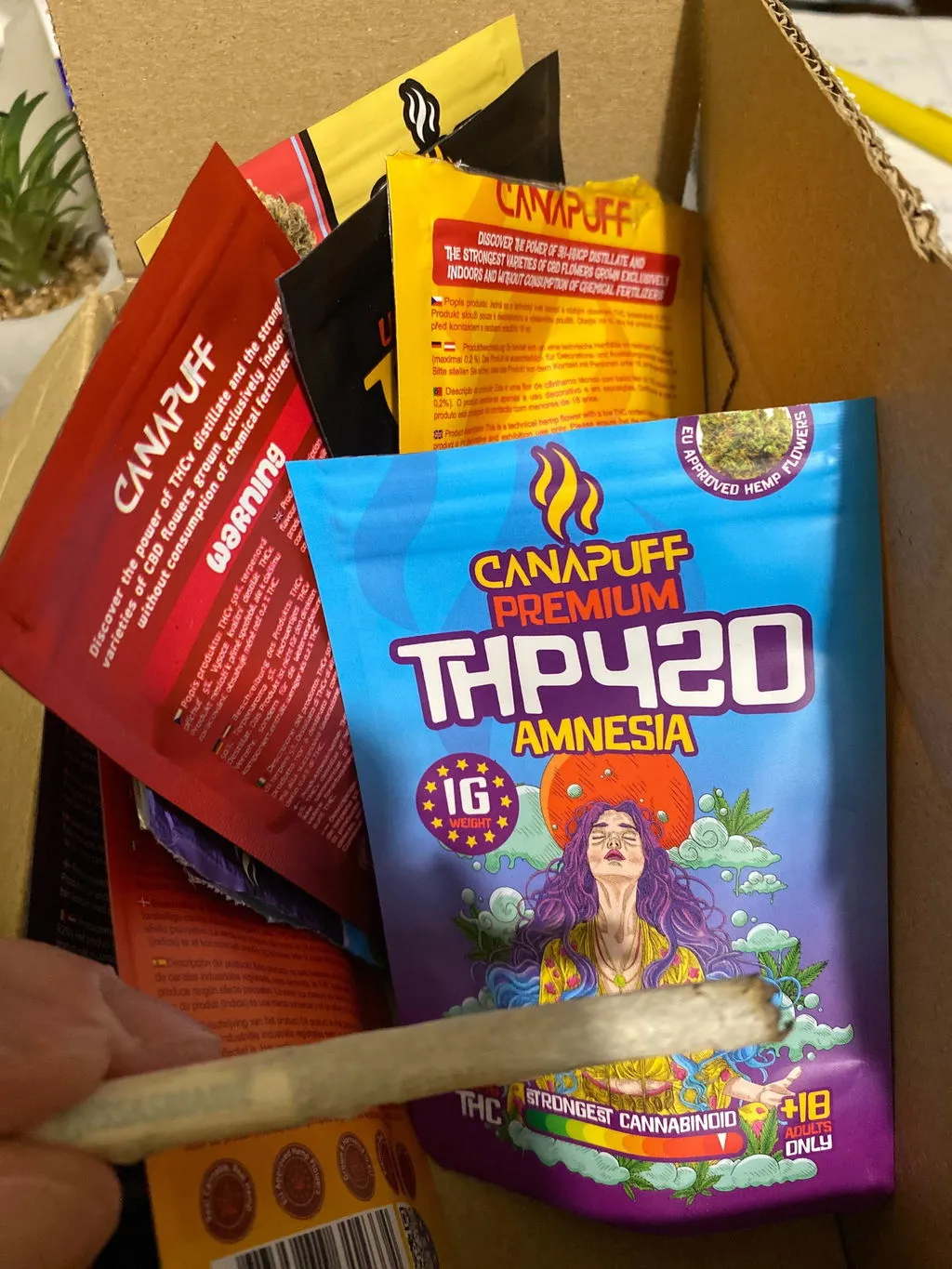 Canapuff THP420 Amnesia topskudd 65% 1 g