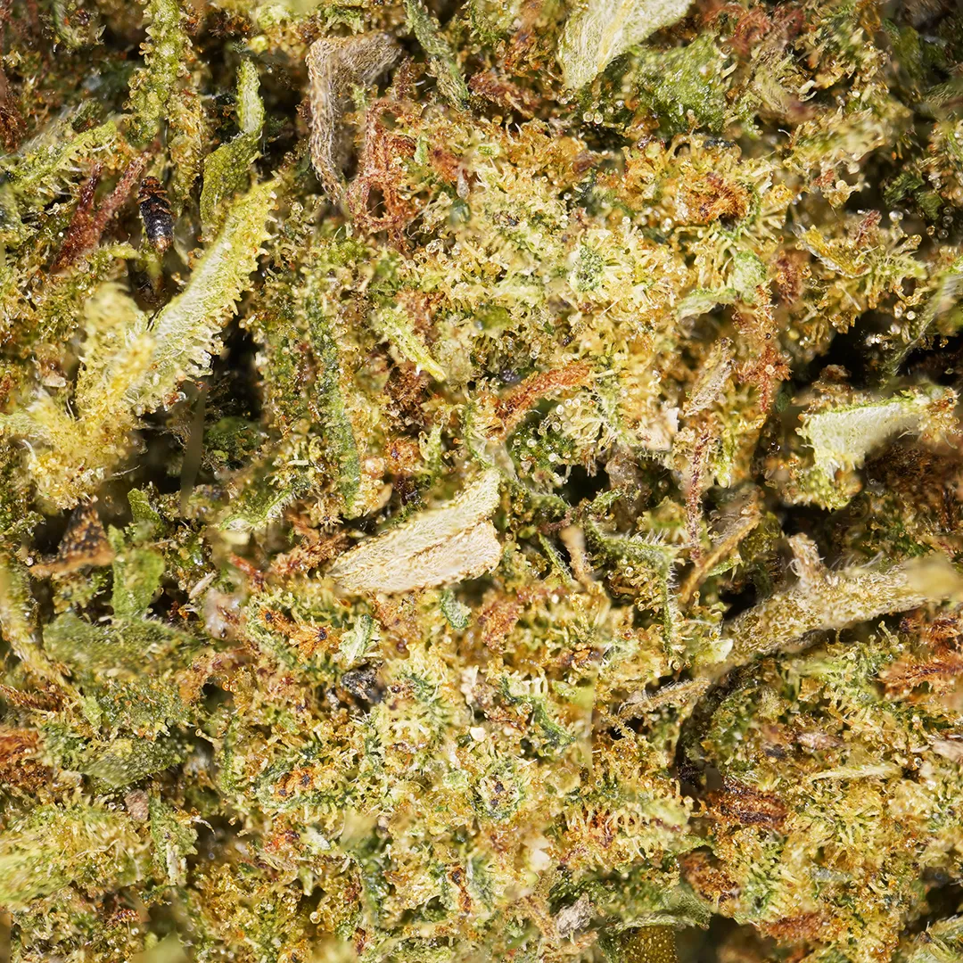 LeGrossiste Zkittlez CBD-blomst 25 g fruktig