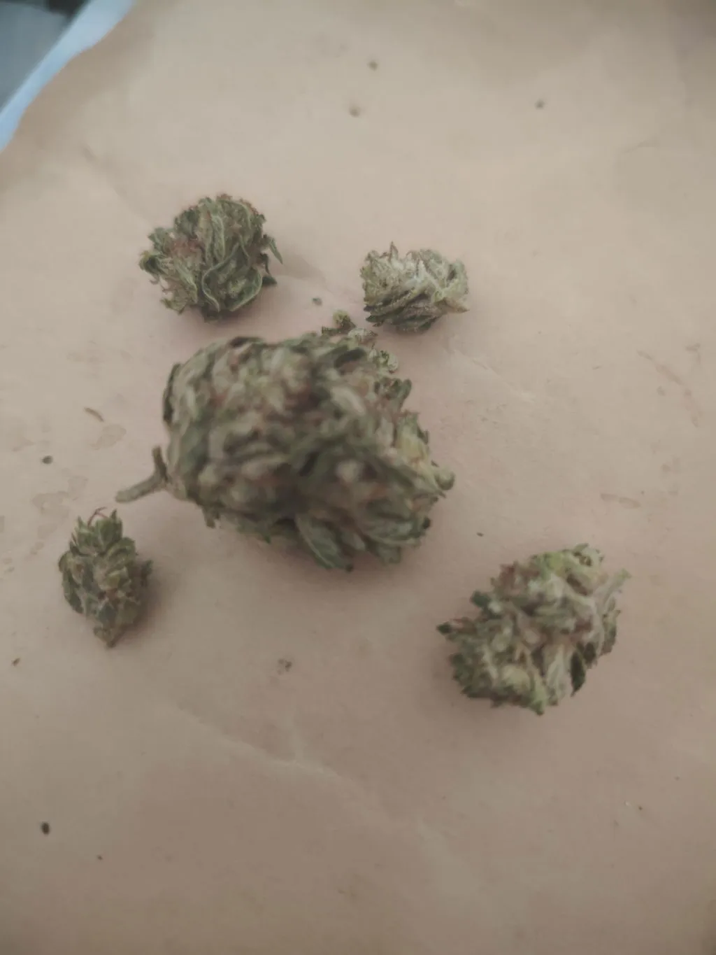 CanaPuff Horchata 9H-HHCP topskudd 1 g kremet søt