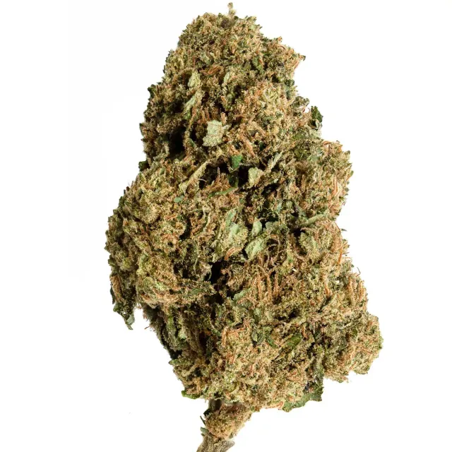Hemeka Harlequin Hydro CBD-blomst 1 g indoor