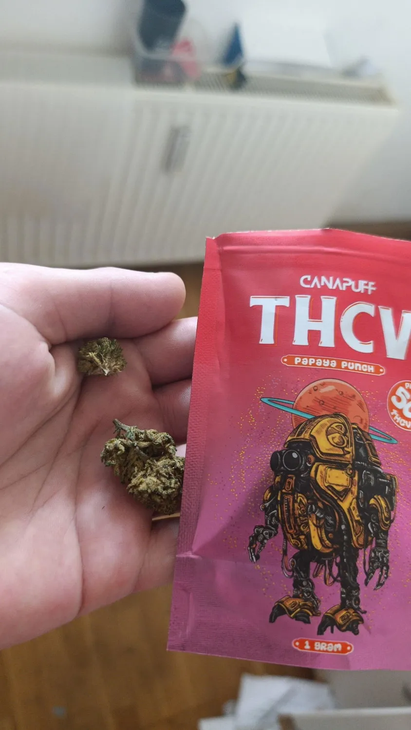 Canapuff Papaya Punch THCv-blomster 1 g 50%