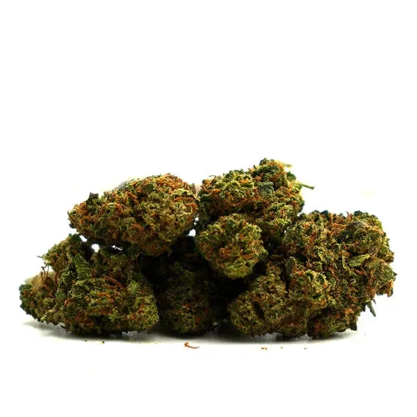 LeGrossiste Petites Têtes Cookie Kush CBD-blomst 25 g indoor