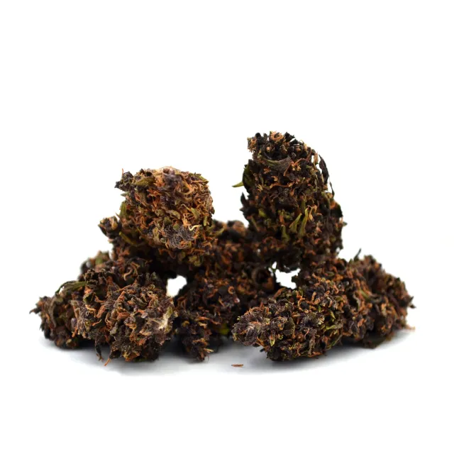 LeGrossiste Purple Haze indoor CBD-blomst 25 g bær