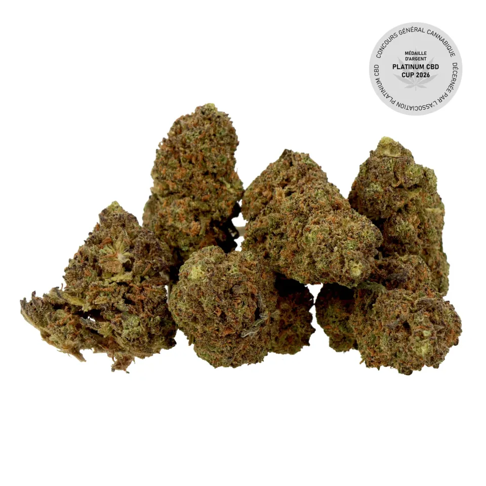 LeGrossiste Blueberry Muffin CBD-blomst drivhus søt