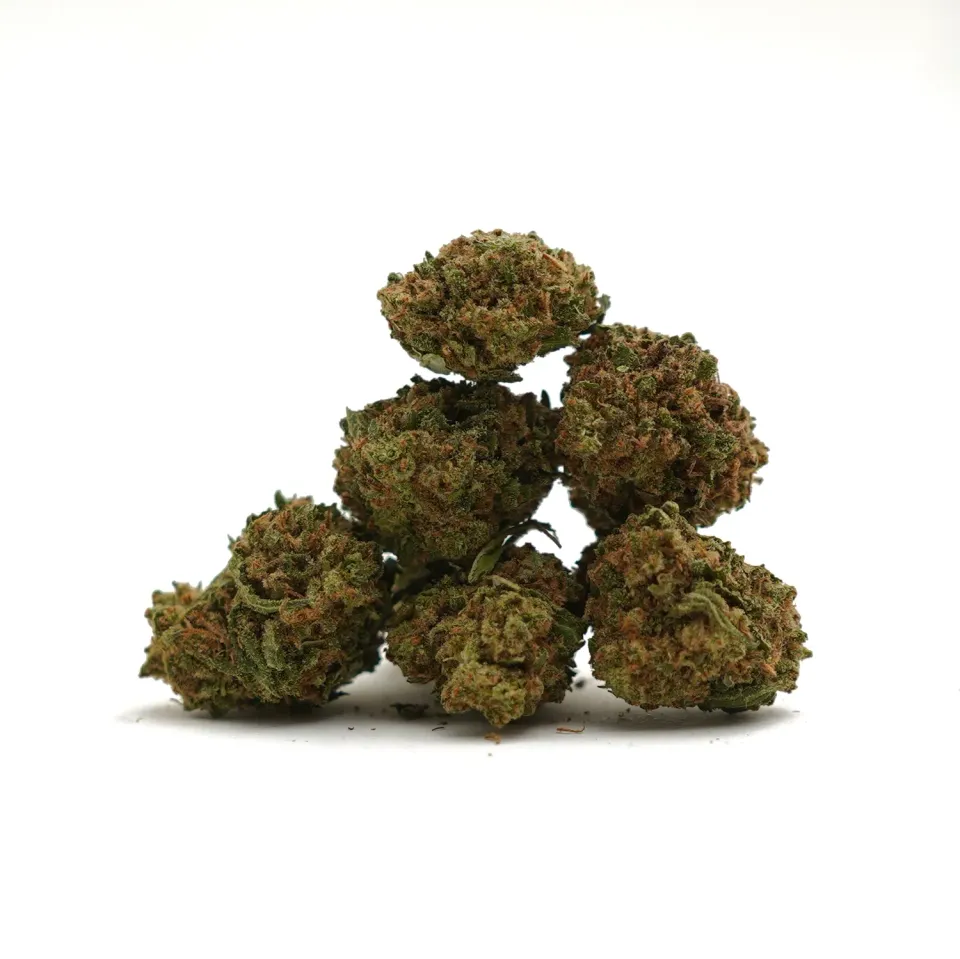 LeGrossiste Harlequin CBD-blomst 25 g drivhus myk