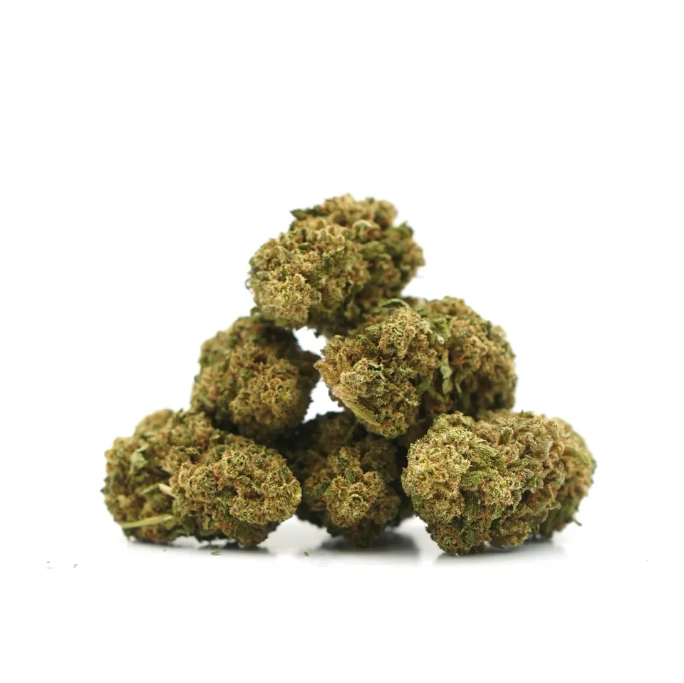 LeGrossiste Gelato Indoor CBD-blomster 25 gram kremet søt