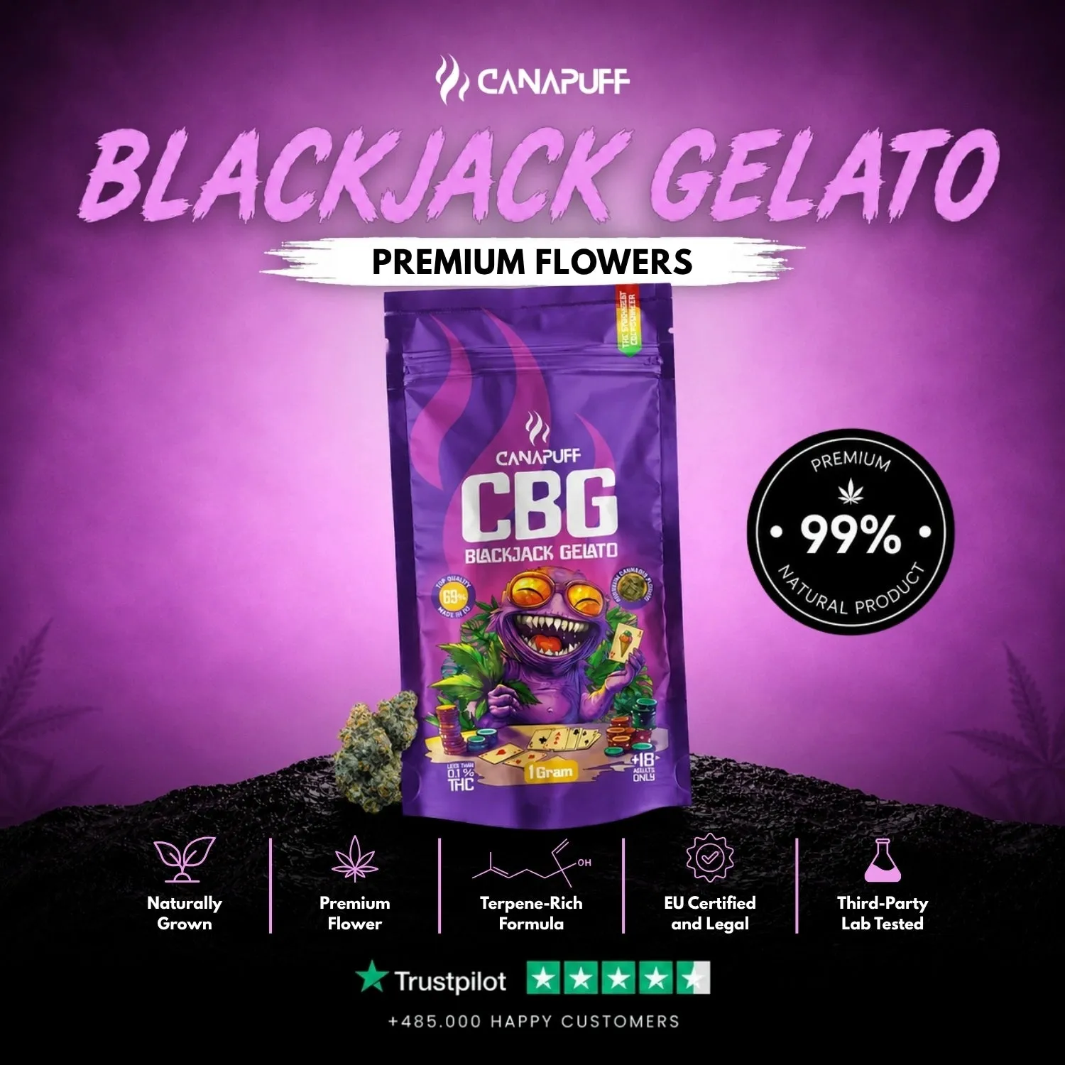 Canapuff Blackjack Gelato 69% CBG-blomst 1g blåbær
