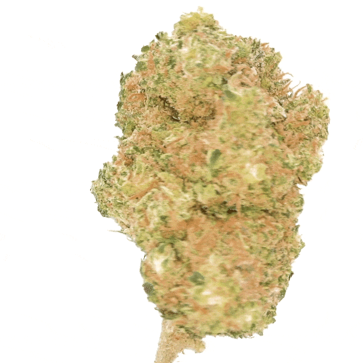 LeGrossiste Mandarine CBD-blomst 25g sitrus