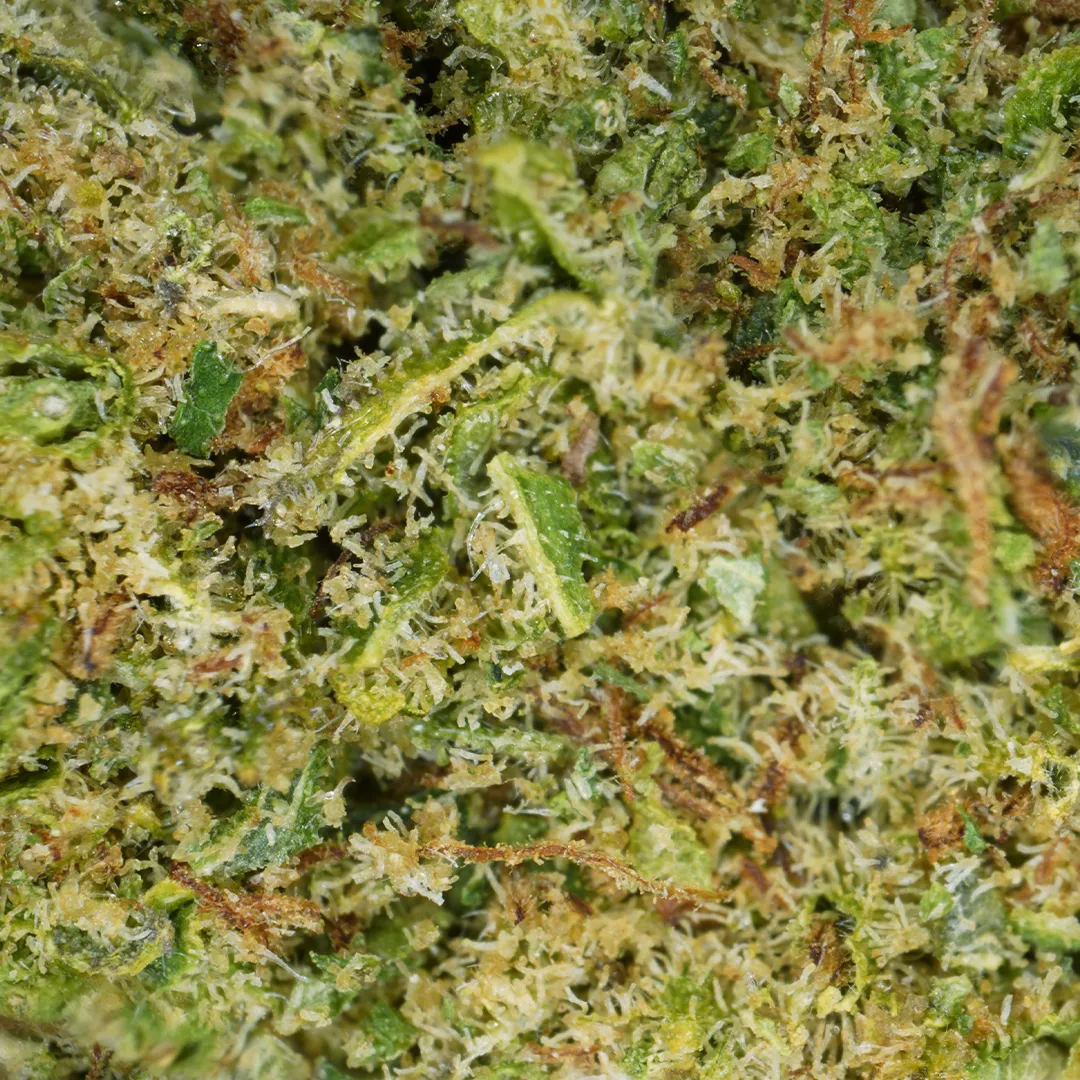 LeGrossiste Alien Kush CBD-blomst hydro 25 gram jordaktig
