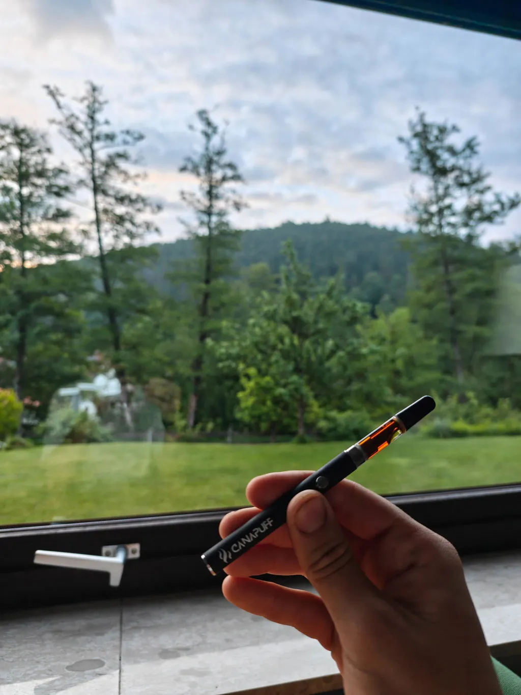 Canapuff CBD OG Kush 95% vape penn sitrus furu