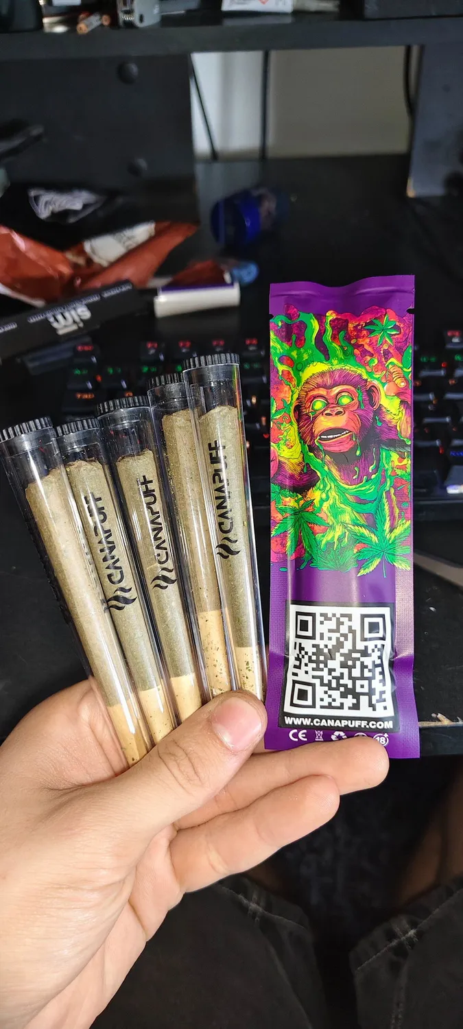 Canapuff Jungle Monkey THCA joint 2g jordaktig