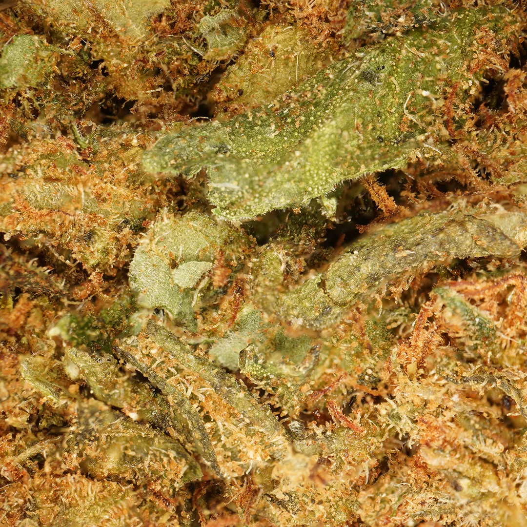 LeGrossiste OG Kush CBD-blomst 25 g drivhus mynte