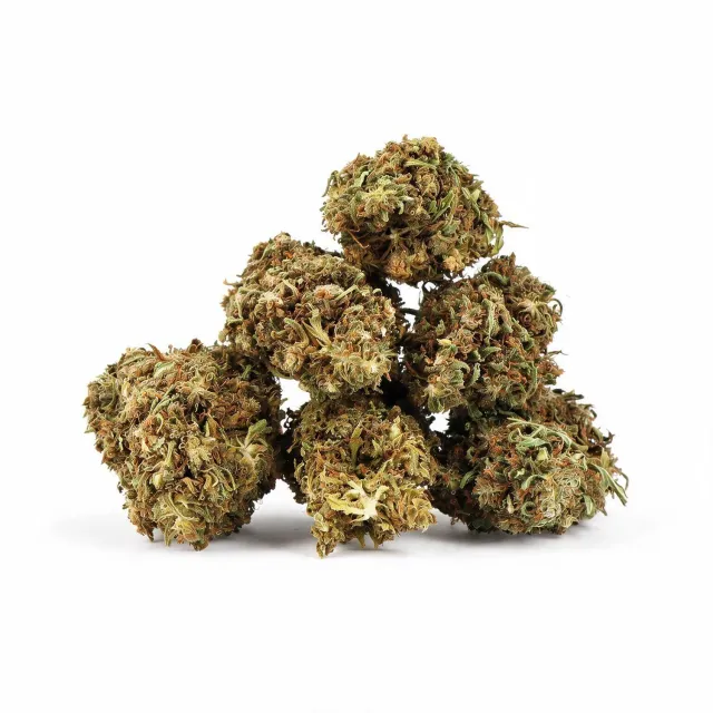 LeGrossiste Watermelon CBD-blomst 25 gram outdoor