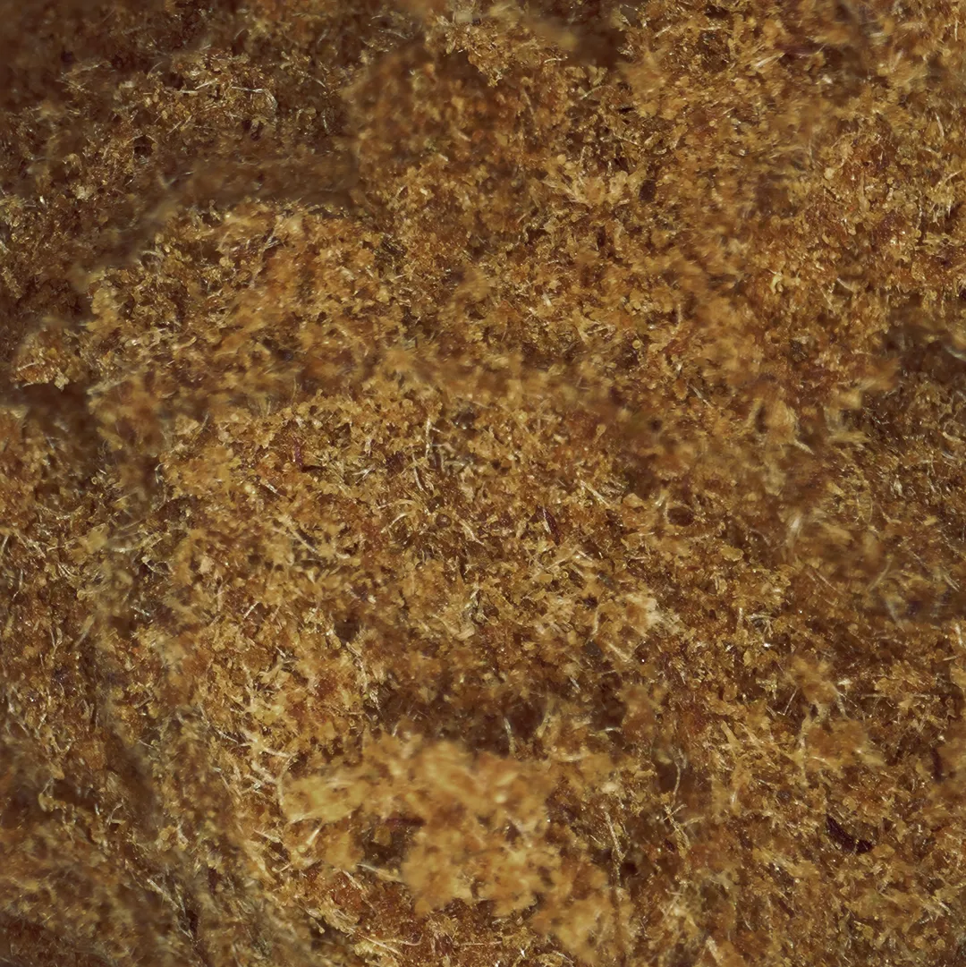 LeGrossiste King Hassan CBD-hasj 25 g kremet