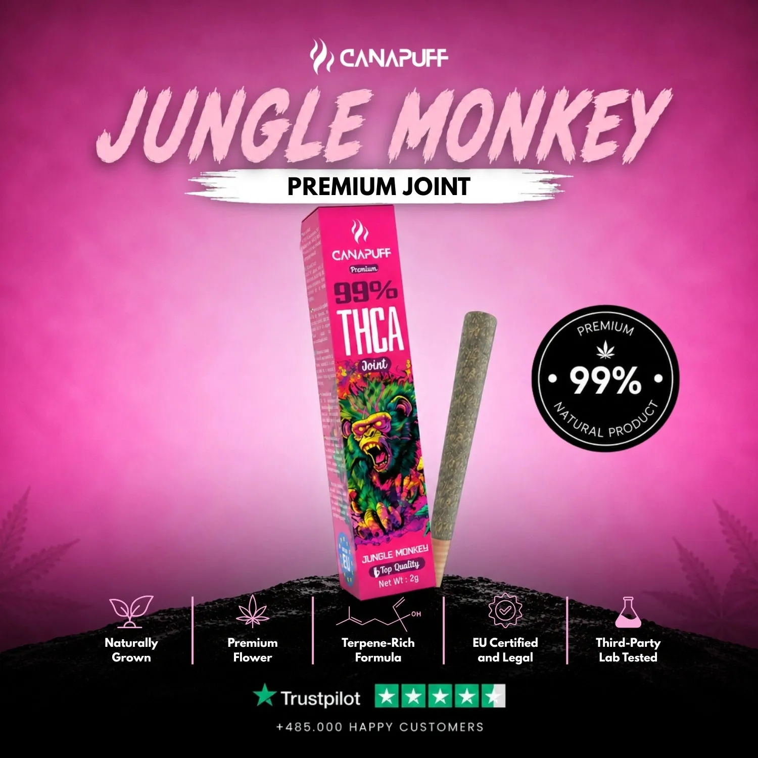Canapuff Jungle Monkey THCA joint 2g jordaktig