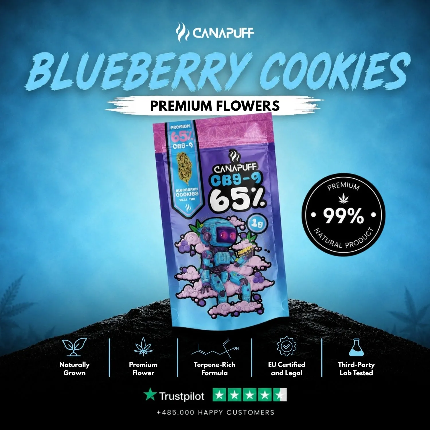 Canapuff Blueberry Cookie 65% CBG9-blomst 1g